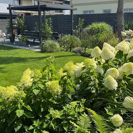 Elefant Międzyzdroje