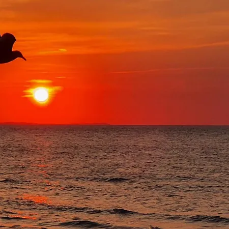 Elefant Homestay szállás