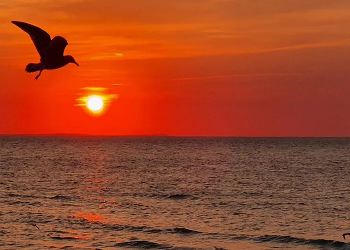 Elefant Homestay szállás