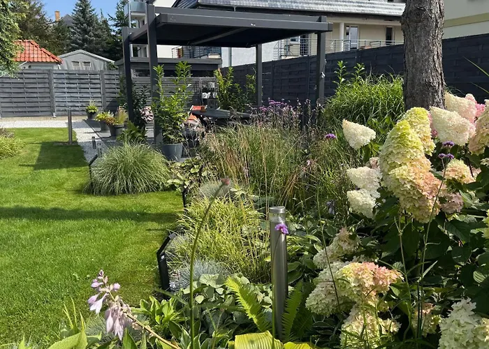 Homestay szállás Elefant